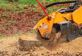 Best Utility Line Clearance  in Deans, NJ