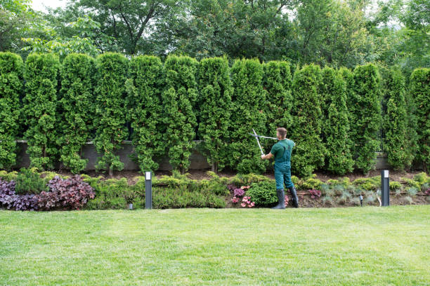 Best Seasonal Cleanup (Spring/Fall)  in Deans, NJ