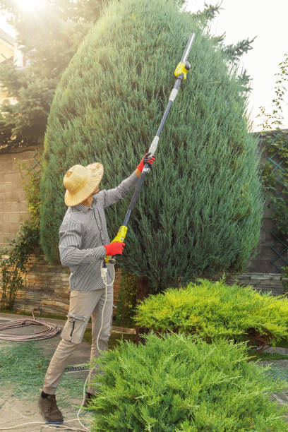 Best Organic Lawn Care Solutions  in Deans, NJ